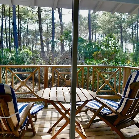 Villa Avec Piscine Sur Le Golf Entre Et Ocean Biscarrosse